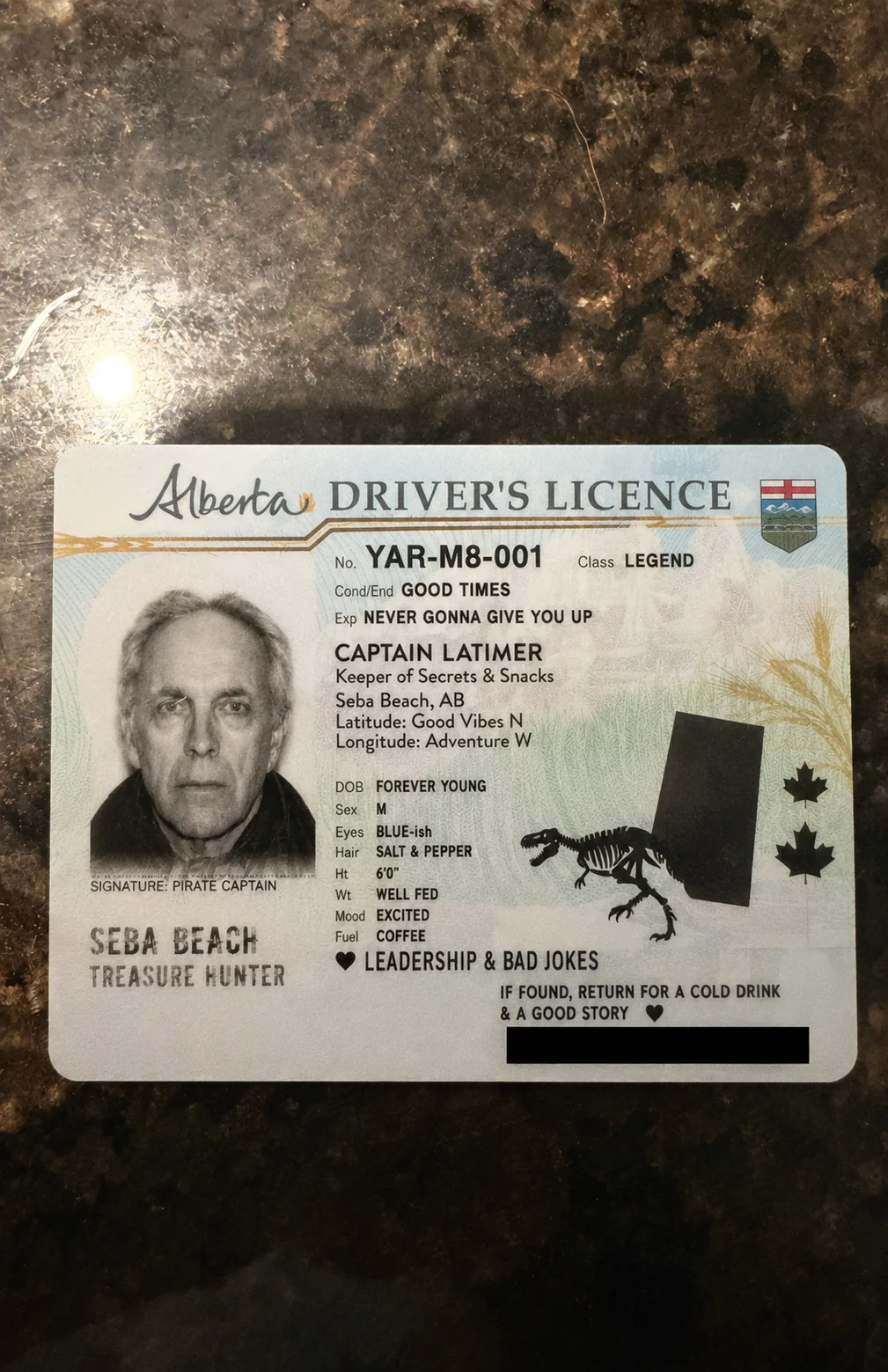A visual representation of what Tim's ID could look like